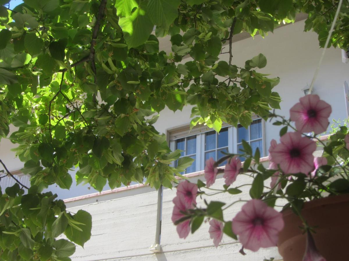 B&B Il Country E Il Mare Мартинсикуро Екстериор снимка